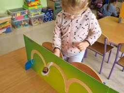 56043416212764899742789488533293784140119009n